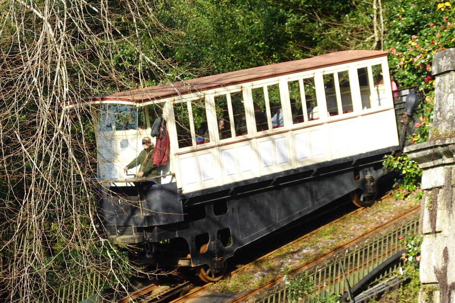 Elevador do Bom Jesus subindo a encosta entre árvores