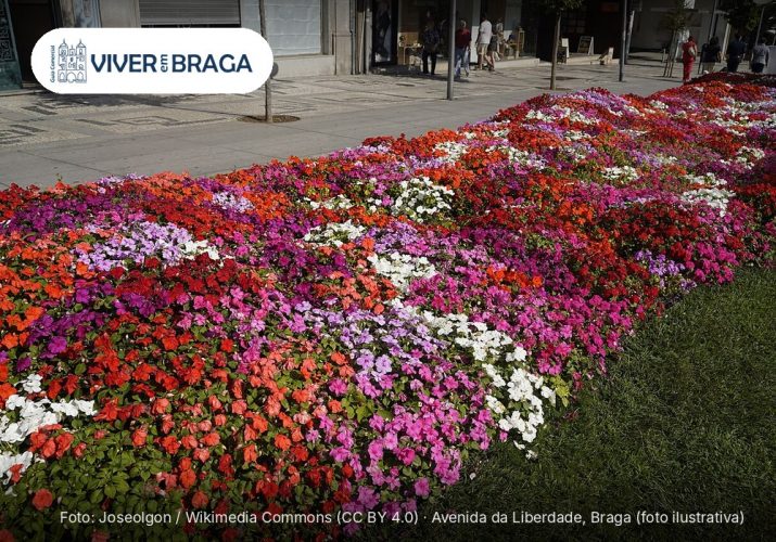 Braga se pintou de rosa: Race for the Cure bate recorde com mais de três mil inscritos – Viver em Braga